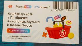 Акция «Пакет в Пятерочке» – что это? в Хофтер