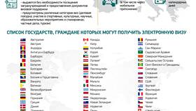 Что такое электронная виза в Россию в Хофтер
