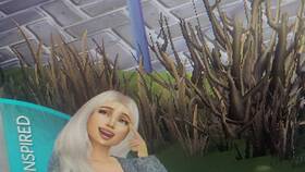 Инвестиции в The Sims 4: как зарабатывать в игре в Хофтер