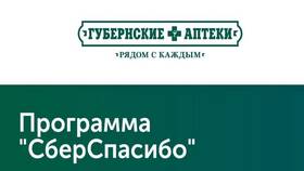 Как использовать баллы СберСпасибо от СберБанка в Хофтер