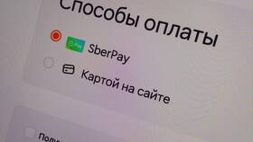 Как оформить заказ в Додо Пицца в Хофтер