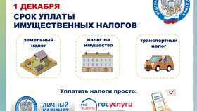 Как оплатить налог через сайт в Хофтер