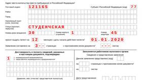 Как подавать декларацию ИП на патенте в Хофтер