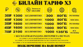 Как подключить социальный тариф Билайн в Хофтер