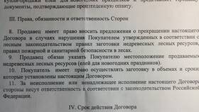 Как правильно писать сумму прописью в документах в Хофтер
