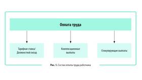 Как правильно рассчитать проценты от заработной платы