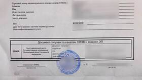 Как проверить баланс СНИЛС на Госуслугах в Хофтер