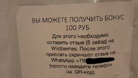 Как редактировать отзывы на Wildberries в Хофтер
