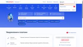 Почему не открывается сайт Госуслуги в Хофтер