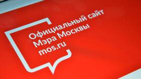 Почему не работают Госуслуги Москвы в Хофтер