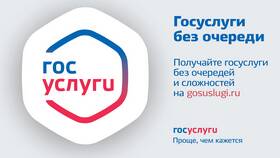Почему обновляются данные на портале Госуслуги в Хофтер