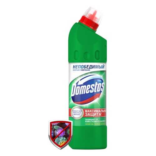 Универсальное чистящее средство Domestos двойная сила хвойная свежесть 500 мл в Хофтер