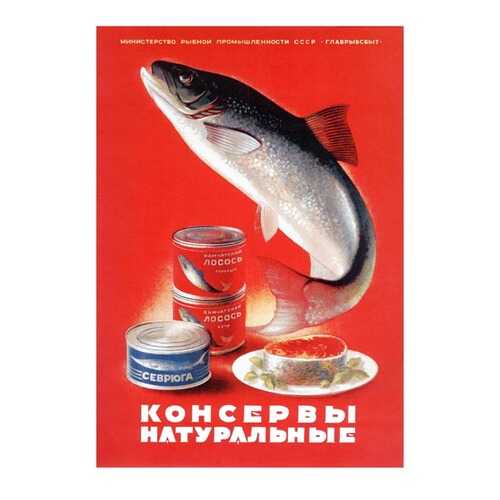Плакат СТ-Диалог Консервы натуральные, СОВ-535, лам.бумага, 60х90 см в Хофтер