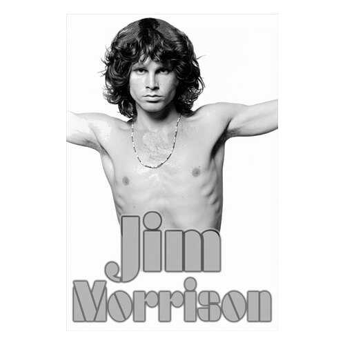 Постер СТ-Диалог Jim Morrison, МУЗ-314, бумага, 40х60 см в Хофтер