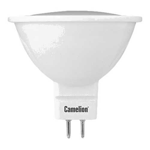 Светодиодная лампа Camelion BasicPower LED5-MR16/830/GU5.3 12025 Белый в Хофтер