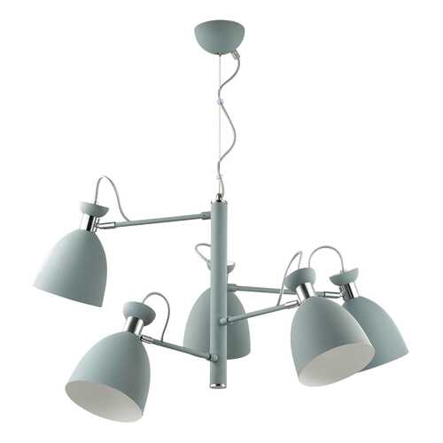 Люстра подвесная Lumion 3735/5 в Хофтер