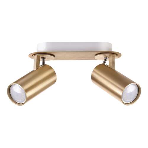 Спот Odeon Light 3876/2C gu10 в Хофтер