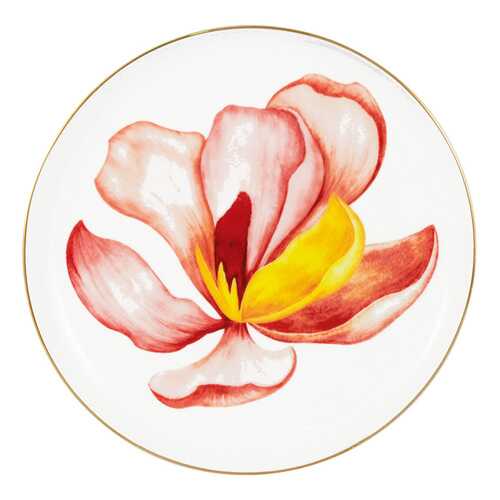 Тарелка Magnolia 19 см Flowers Julia Vysotskaya 57983 в Хофтер